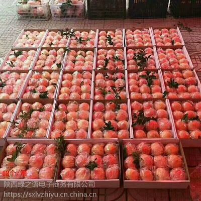 陜西臨潼石榴 紅心軟籽，新鮮直達的美味與商機