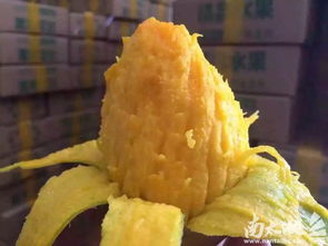 新鮮果園直供 足不出戶品嘗鮮美水果，價格超實惠