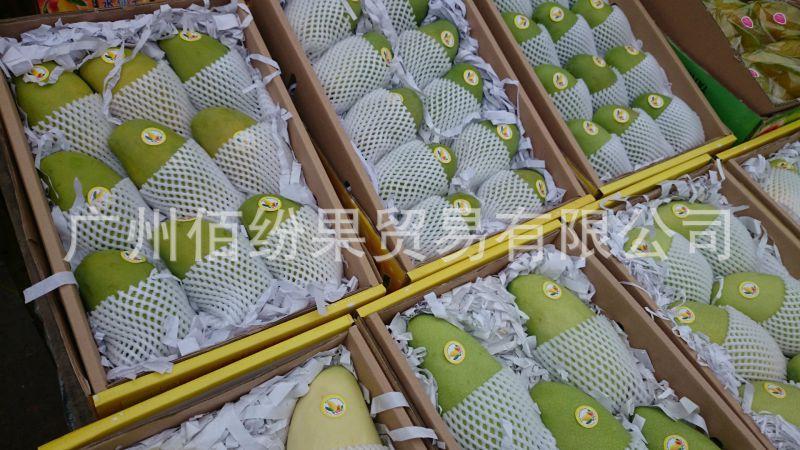 佰紛果海南水仙芒 出口級品質認證，48小時產地直發，體驗“核薄如紙”的甜糯暴擊